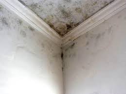 Best Forensic Mold Investigation  in White Mountain Lake, AZ