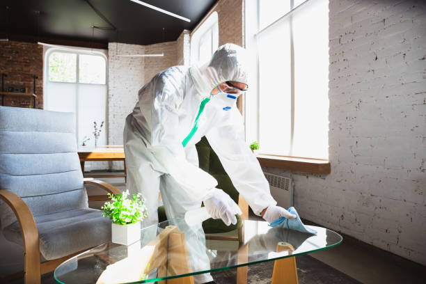 Why You Should Choose Our Mold Remediation Services in White Mountain Lake, AZ